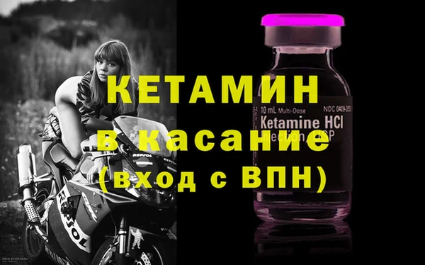 трава Беломорск
