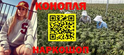 Альфа ПВП Кунгур