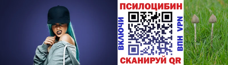 наркошоп  Дагестанские Огни  Псилоцибиновые грибы Psilocybine cubensis 