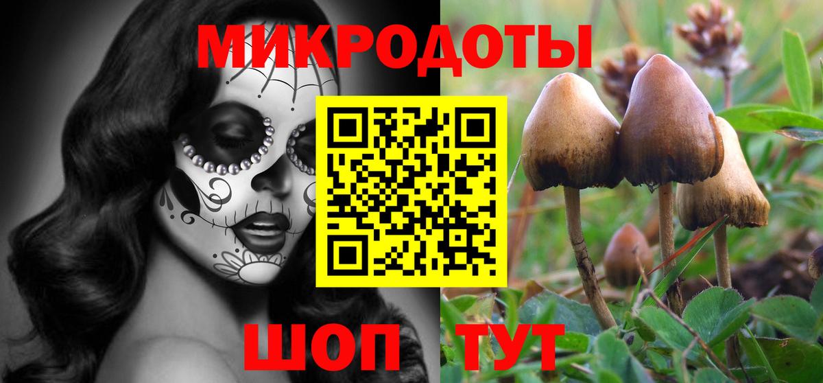 Псилоцибиновые грибы мухоморы Дагестанские Огни